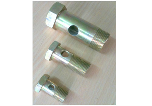 
Hydraulic Banjo Fittings